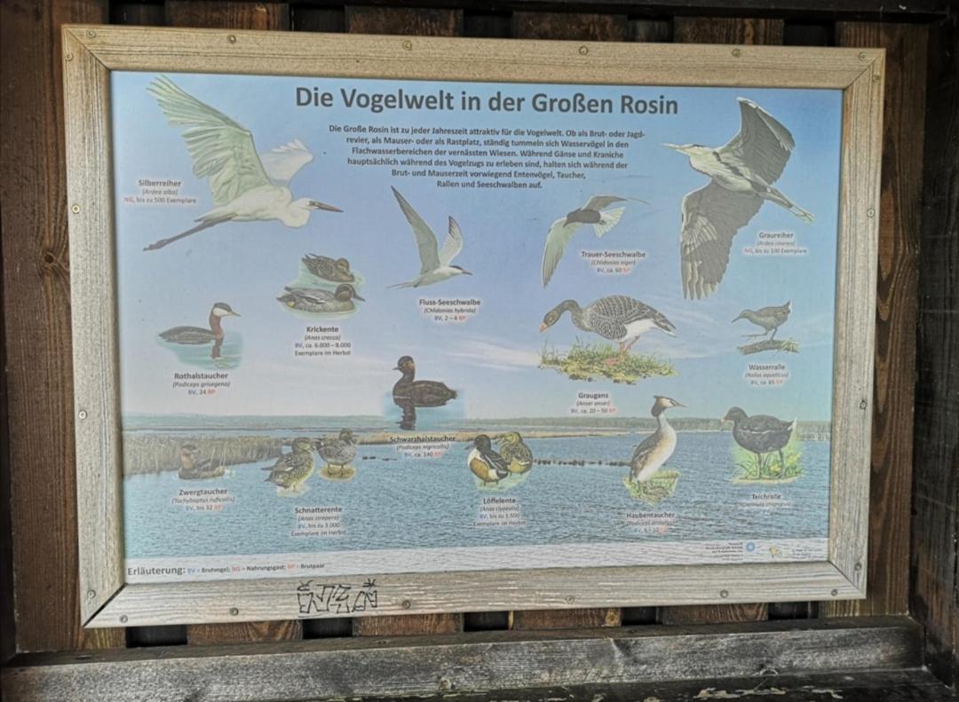Sommerhaus Verchen 外观 照片
